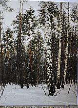 Birch Trees In Winter - oil, canvas
