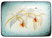 Orchids - business card holder, Fedoskino miniature lacquer painting