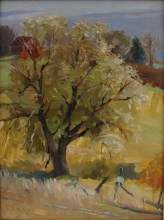 At The Old White Willo Tree - oil, canvas
