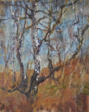 Birch Tree Sap - oil, canvas