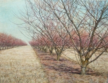 Apple Orchard - tempera, canvas