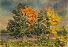 The Autumn Maples - paper, aquarelle