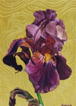 The Portrait Of An Iris Flower - oil, canvas