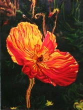 The Magic Flower - oil, canvas