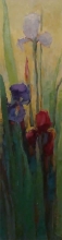 Irises - oil, canvas