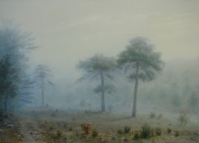 Fog. Pine Trees - oil, canvas