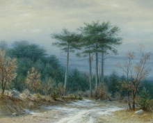Early Snow. Pine Trees - oil, canvas