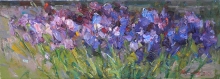 Irises - oil, canvas