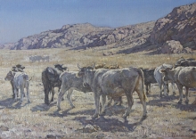 Herd - oil, canvas