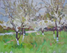 Blooming Apple Tree - oil, canvas