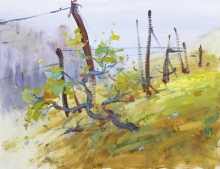 Vinery In The Vicinity Of Gurzuf - oil, canvas on cardboard