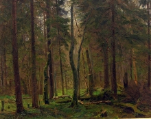 Spring In The forest - oil, canvas