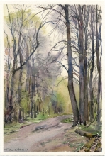 Forest Road. Sketch - watercolors, paper