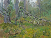 Forest - oil, canvas
