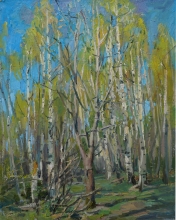 Birch Trees On A Sunny Day - oil, canvas