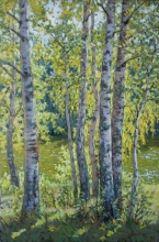 Sunny Day. Birch Trees - oil, canvas