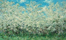 Spring Landscape - oil, canvas