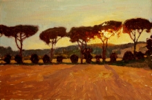 Sunset, Parasol Pines - oil, canvas