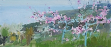 Spring Peaches - oil, canvas