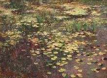Weeded Pond - oil, canvas