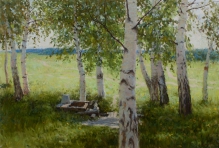 Birch Grove - oil, canvas