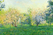 Quiet Evening. Blooming Apples. Kolomenskoe - oil, canvas on cardboard